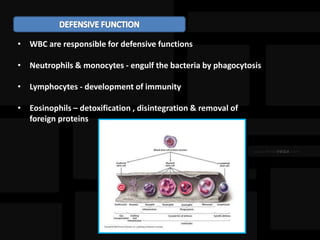 • WBC are responsible for defensive functions
• Neutrophils & monocytes - engulf the bacteria by phagocytosis
• Lymphocytes - development of immunity
• Eosinophils – detoxification , disintegration & removal of
foreign proteins
 