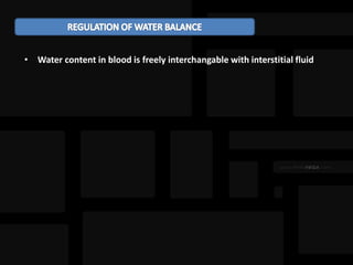 • Water content in blood is freely interchangable with interstitial fluid
 