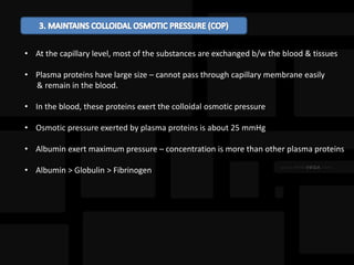 • At the capillary level, most of the substances are exchanged b/w the blood & tissues
• Plasma proteins have large size – cannot pass through capillary membrane easily
& remain in the blood.
• In the blood, these proteins exert the colloidal osmotic pressure
• Osmotic pressure exerted by plasma proteins is about 25 mmHg
• Albumin exert maximum pressure – concentration is more than other plasma proteins
• Albumin > Globulin > Fibrinogen
 