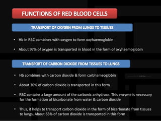 • Hb in RBC combines with oxygen to form oxyhaemoglobin
• About 97% of oxygen is transported in blood in the form of oxyhaemoglobin
• Hb combines with carbon dioxide & form carbhameoglobin
• About 30% of carbon dioxide is transported in this form
• RBC contains a large amount of the carbonic anhydrase. This enzyme is necessary
for the formation of bicarbonate from water & carbon dioxide
• Thus, it helps to transport carbon dioxide in the form of bicarbonate from tissues
to lungs. About 63% of carbon dioxide is transported in this form
 