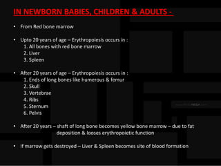 IN NEWBORN BABIES, CHILDREN & ADULTS -
• From Red bone marrow
• Upto 20 years of age – Erythropoiesis occurs in :
1. All bones with red bone marrow
2. Liver
3. Spleen
• After 20 years of age – Erythropoiesis occurs in :
1. Ends of long bones like humerous & femur
2. Skull
3. Vertebrae
4. Ribs
5. Sternum
6. Pelvis
• After 20 years – shaft of long bone becomes yellow bone marrow – due to fat
deposition & looses erythropoietic function
• If marrow gets destroyed – Liver & Spleen becomes site of blood formation
 