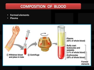 • Formed elements
• Plasma
 