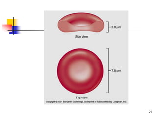 physiology of blood | PPTX