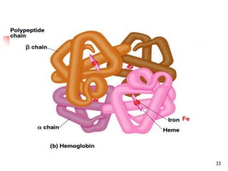 physiology of blood | PPTX