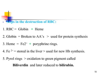 physiology of blood | PPTX