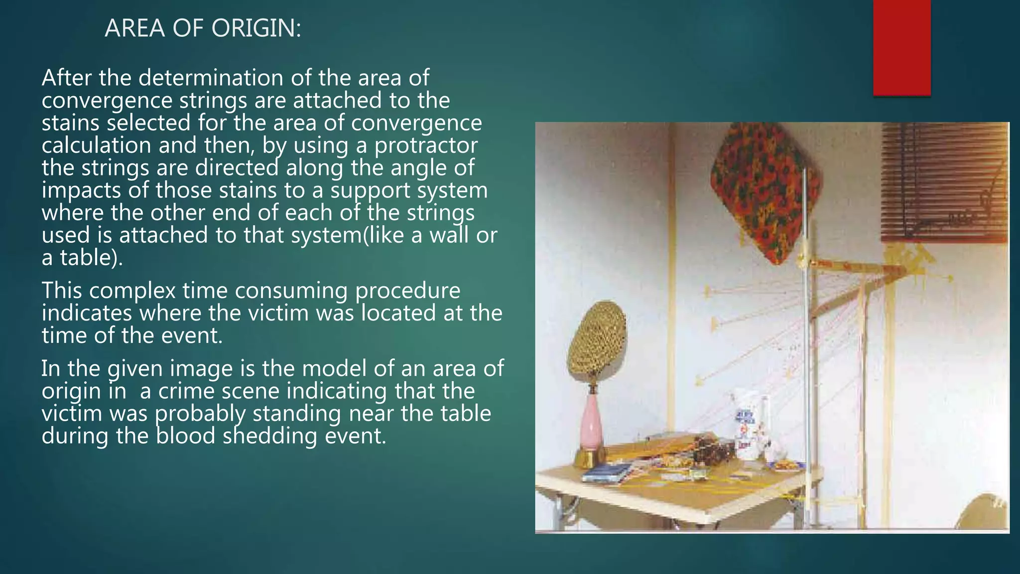 AREA OF ORIGIN:
After the determination of the area of
convergence strings are attached to the
stains selected for the area of convergence
calculation and then, by using a protractor
the strings are directed along the angle of
impacts of those stains to a support system
where the other end of each of the strings
used is attached to that system(like a wall or
a table).
This complex time consuming procedure
indicates where the victim was located at the
time of the event.
In the given image is the model of an area of
origin in a crime scene indicating that the
victim was probably standing near the table
during the blood shedding event.
 