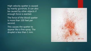 High velocity spatter is caused
by mainly gunshots. It can also
be caused by other objects if
enough force is exerted.
The force of the blood spatter
is more than 100 feet per
second.
This causes the spatter to
appear like a fine spray. The
droplet is less than 1 mm.
 