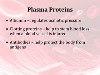 Plasma Proteins
 Albumin – regulates osmotic pressure
 Clotting proteins – help to stem blood loss
when a blood vessel is injured
 Antibodies – help protect the body from
antigens
 