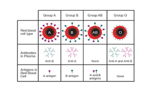 BLOOD 12-2.pptx bloodtransfusion, FFPs, platelets | PPTX