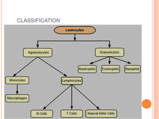 Blood and blood disorders | PPTX