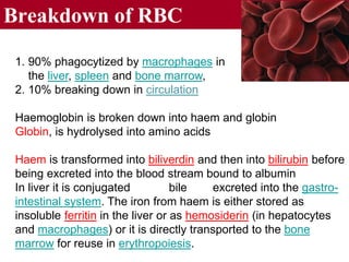 Blood adl | PPT