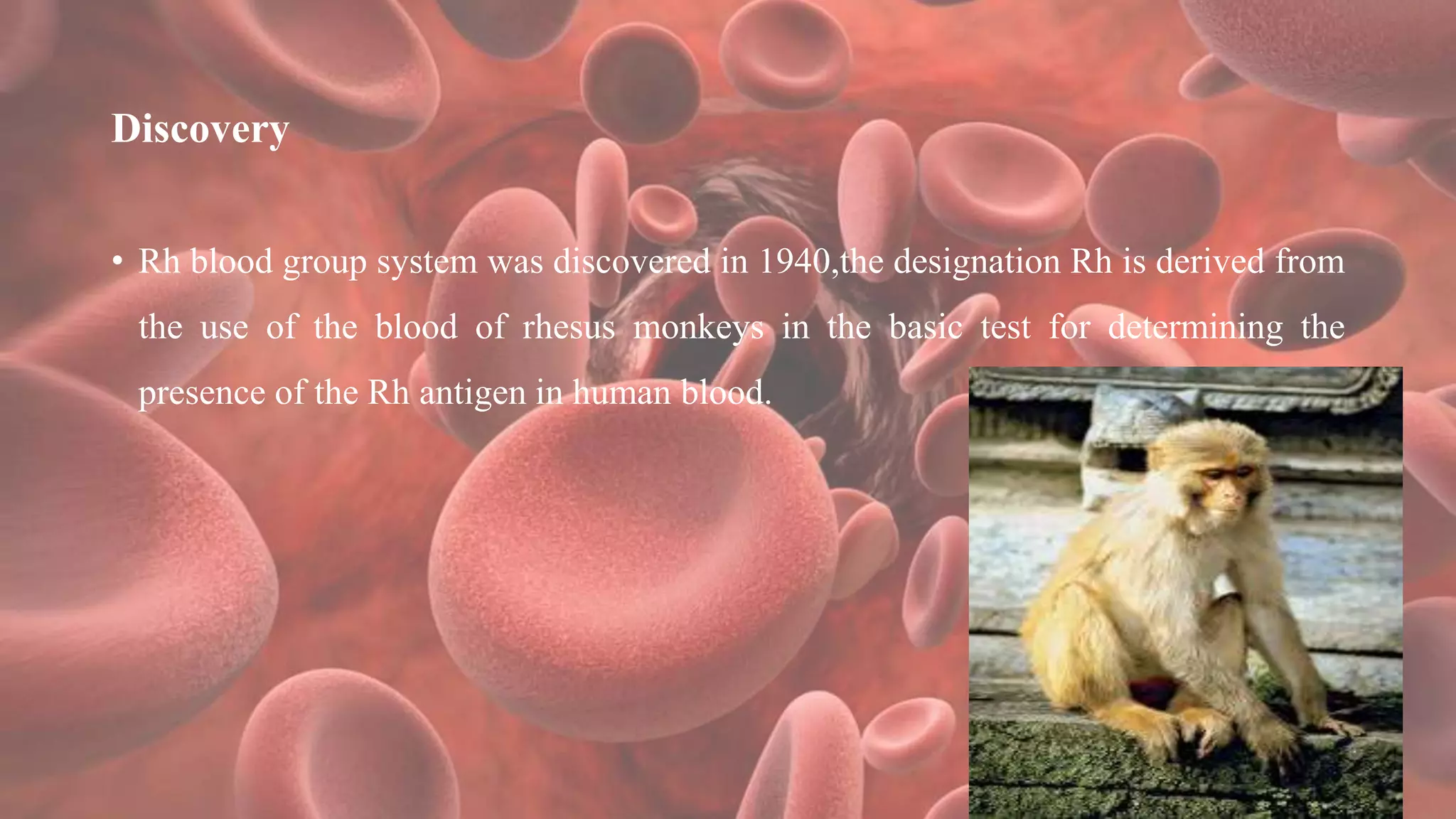 Discovery
• Rh blood group system was discovered in 1940,the designation Rh is derived from
the use of the blood of rhesus monkeys in the basic test for determining the
presence of the Rh antigen in human blood.
 