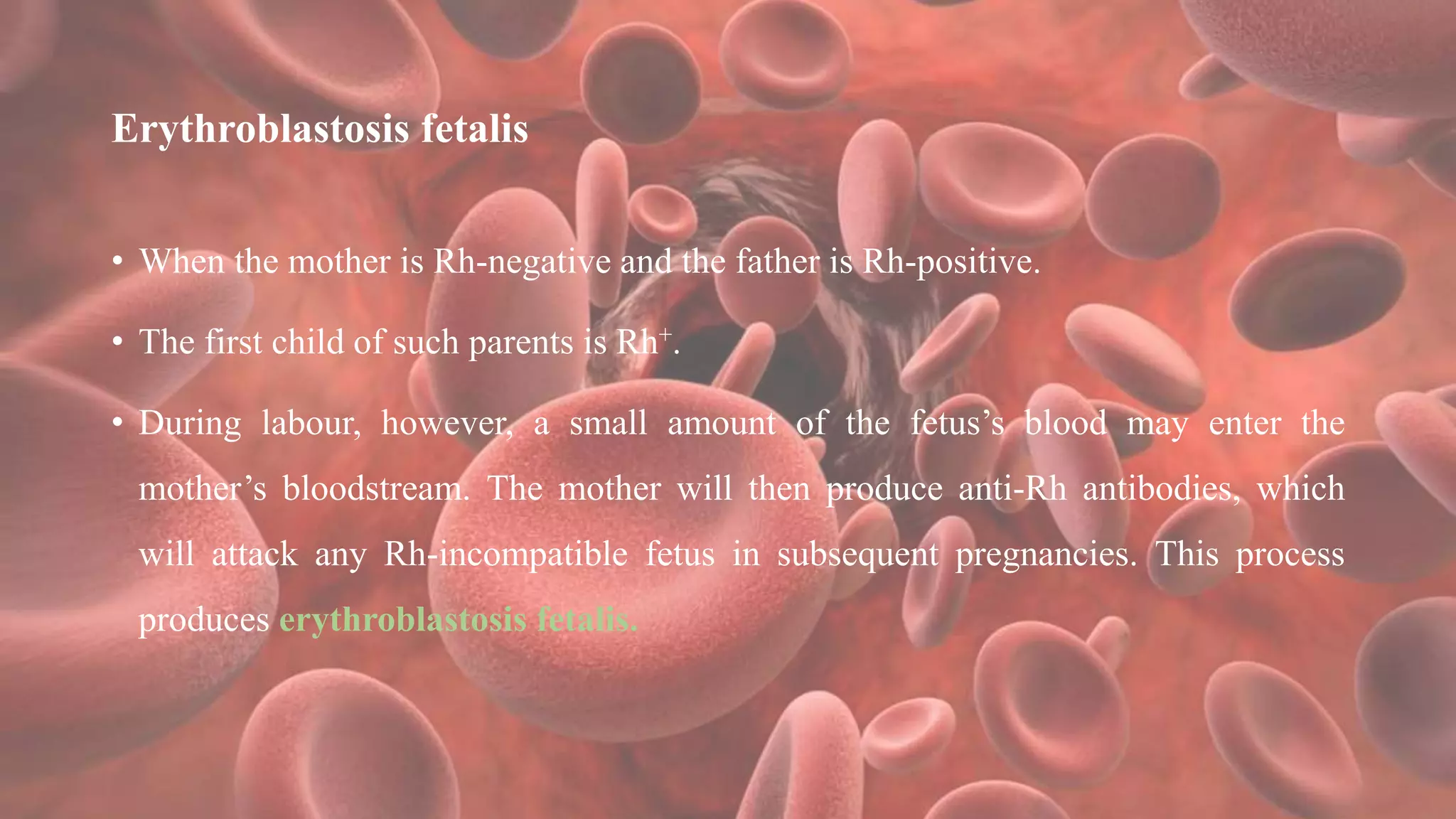 Erythroblastosis fetalis
• When the mother is Rh-negative and the father is Rh-positive.
• The first child of such parents is Rh+.
• During labour, however, a small amount of the fetus’s blood may enter the
mother’s bloodstream. The mother will then produce anti-Rh antibodies, which
will attack any Rh-incompatible fetus in subsequent pregnancies. This process
produces erythroblastosis fetalis.
 
