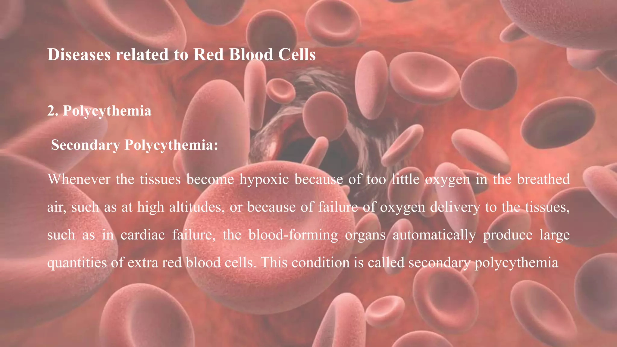 Diseases related to Red Blood Cells
2. Polycythemia
Secondary Polycythemia:
Whenever the tissues become hypoxic because of too little oxygen in the breathed
air, such as at high altitudes, or because of failure of oxygen delivery to the tissues,
such as in cardiac failure, the blood-forming organs automatically produce large
quantities of extra red blood cells. This condition is called secondary polycythemia
 