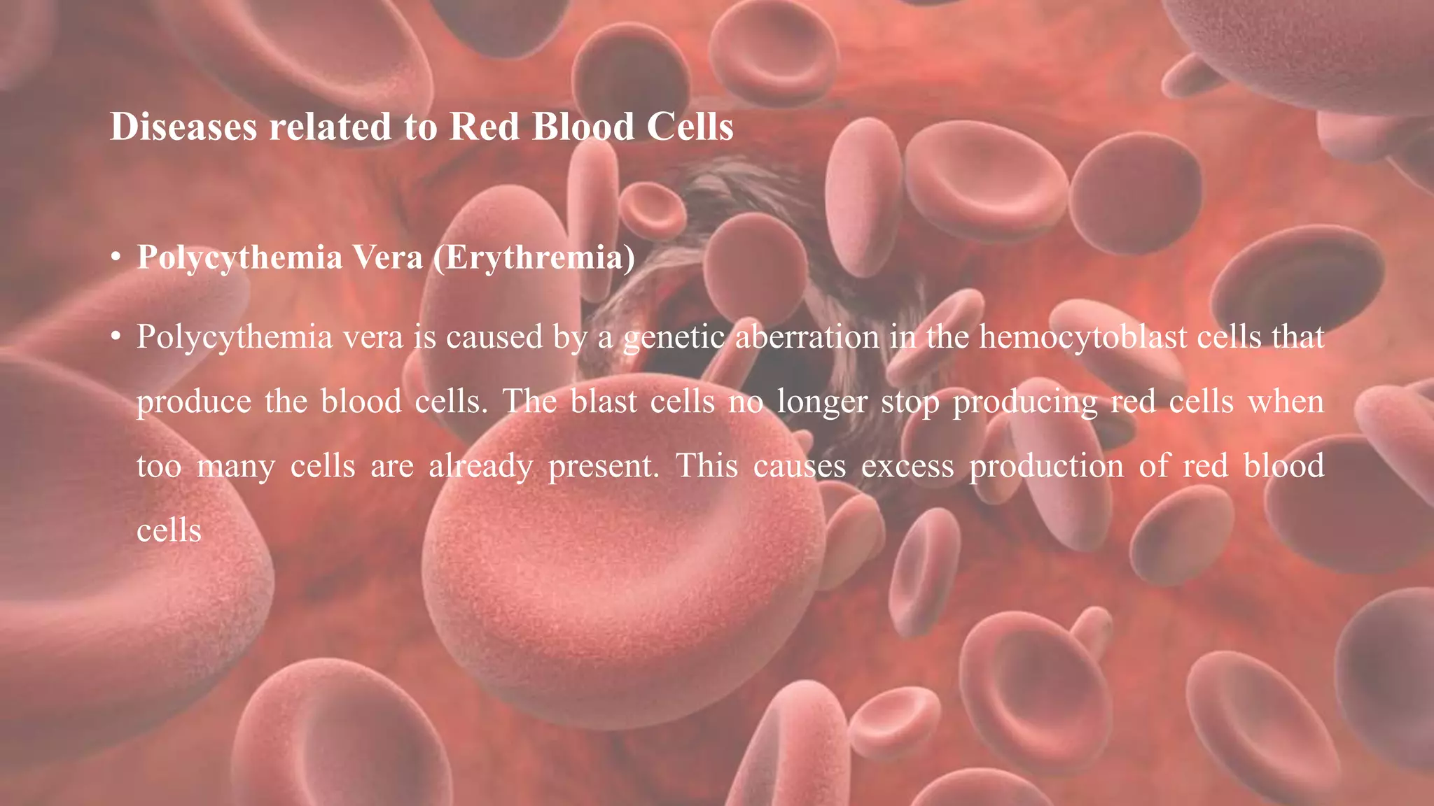 Diseases related to Red Blood Cells
• Polycythemia Vera (Erythremia)
• Polycythemia vera is caused by a genetic aberration in the hemocytoblast cells that
produce the blood cells. The blast cells no longer stop producing red cells when
too many cells are already present. This causes excess production of red blood
cells
 