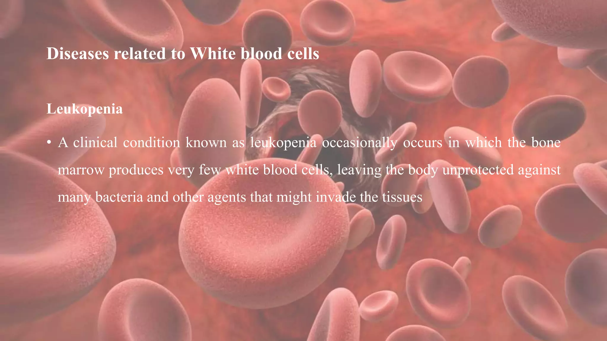 Diseases related to White blood cells
Leukopenia
• A clinical condition known as leukopenia occasionally occurs in which the bone
marrow produces very few white blood cells, leaving the body unprotected against
many bacteria and other agents that might invade the tissues
 