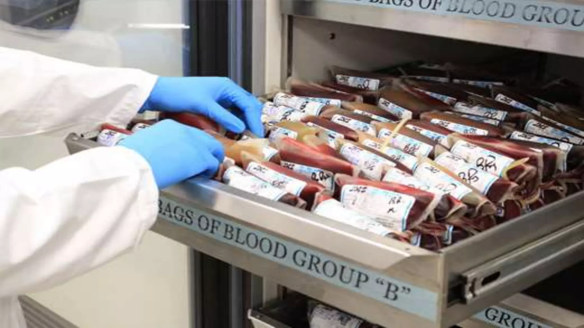 Blood; Fluid of Life