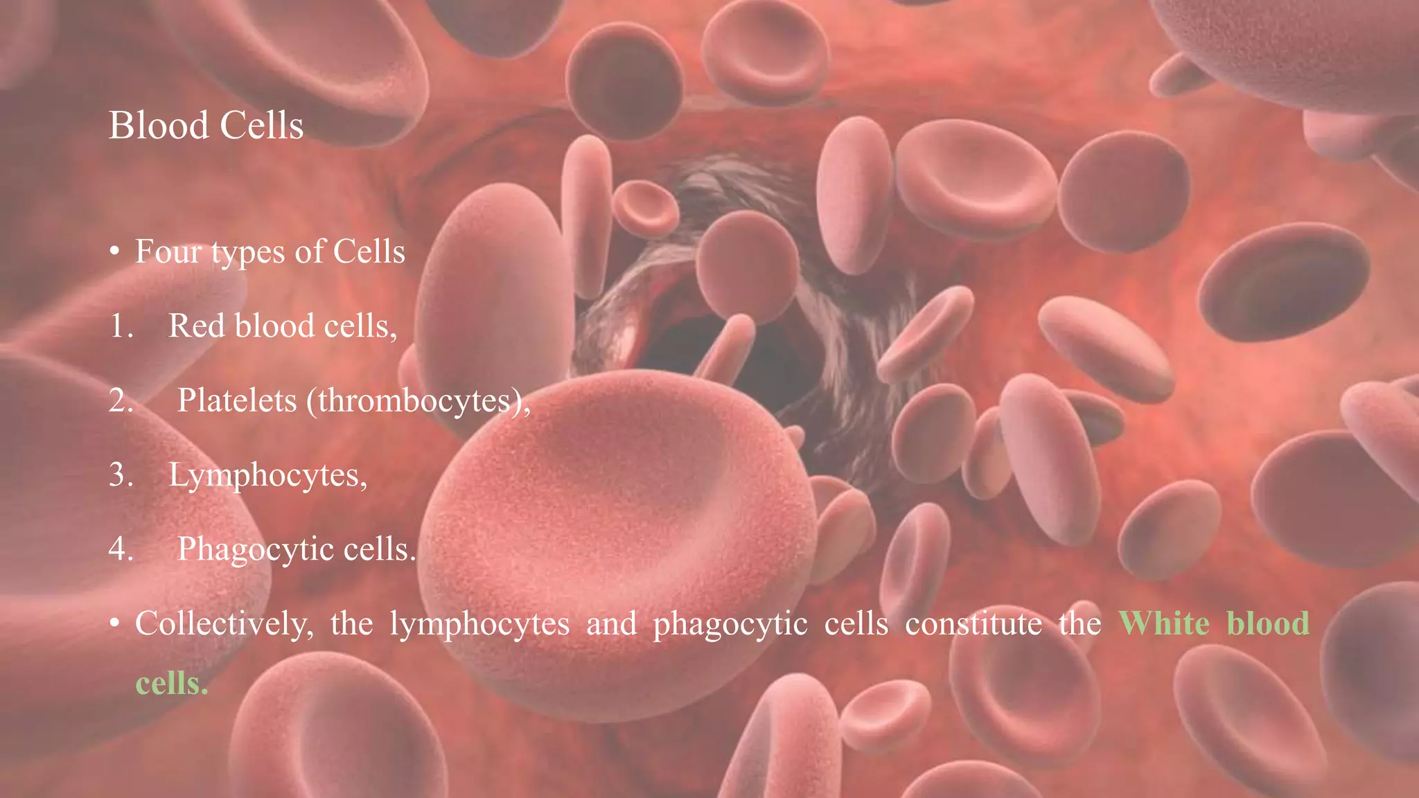 Blood Cells
• Four types of Cells
1. Red blood cells,
2. Platelets (thrombocytes),
3. Lymphocytes,
4. Phagocytic cells.
• Collectively, the lymphocytes and phagocytic cells constitute the White blood
cells.
 