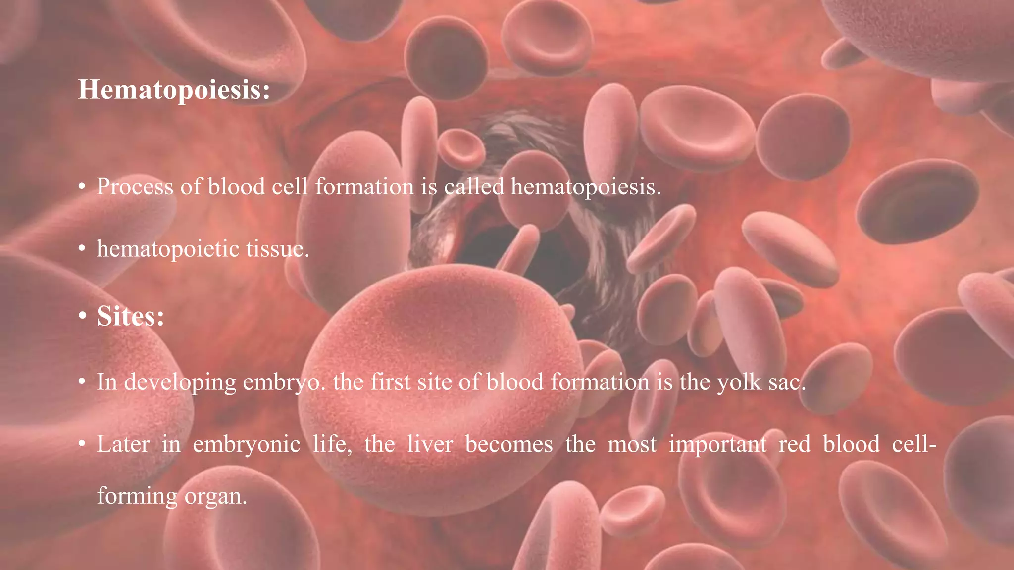 Hematopoiesis:
• Process of blood cell formation is called hematopoiesis.
• hematopoietic tissue.
• Sites:
• In developing embryo. the first site of blood formation is the yolk sac.
• Later in embryonic life, the liver becomes the most important red blood cell-
forming organ.
 