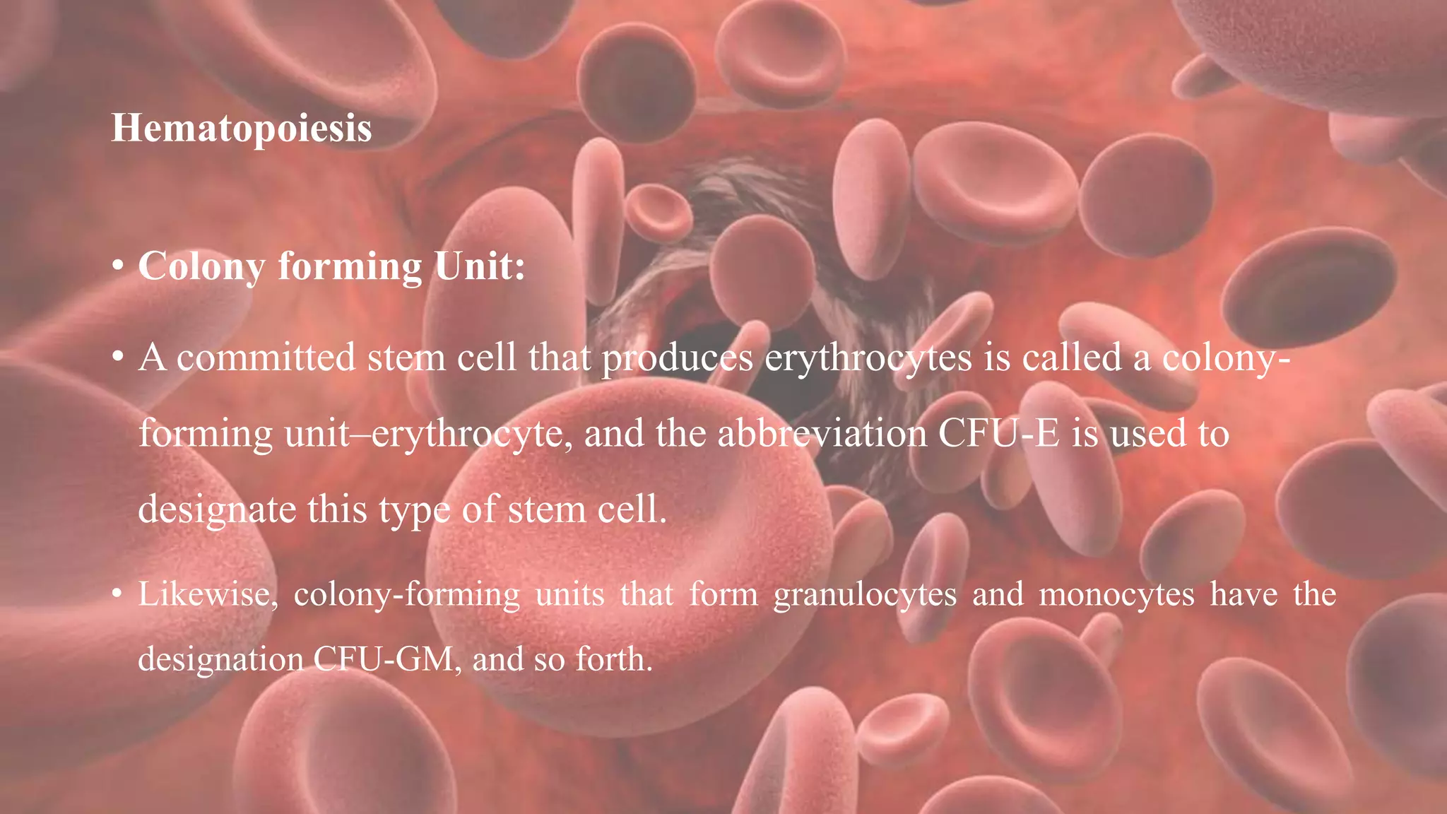 Hematopoiesis
• Colony forming Unit:
• A committed stem cell that produces erythrocytes is called a colony-
forming unit–erythrocyte, and the abbreviation CFU-E is used to
designate this type of stem cell.
• Likewise, colony-forming units that form granulocytes and monocytes have the
designation CFU-GM, and so forth.
 