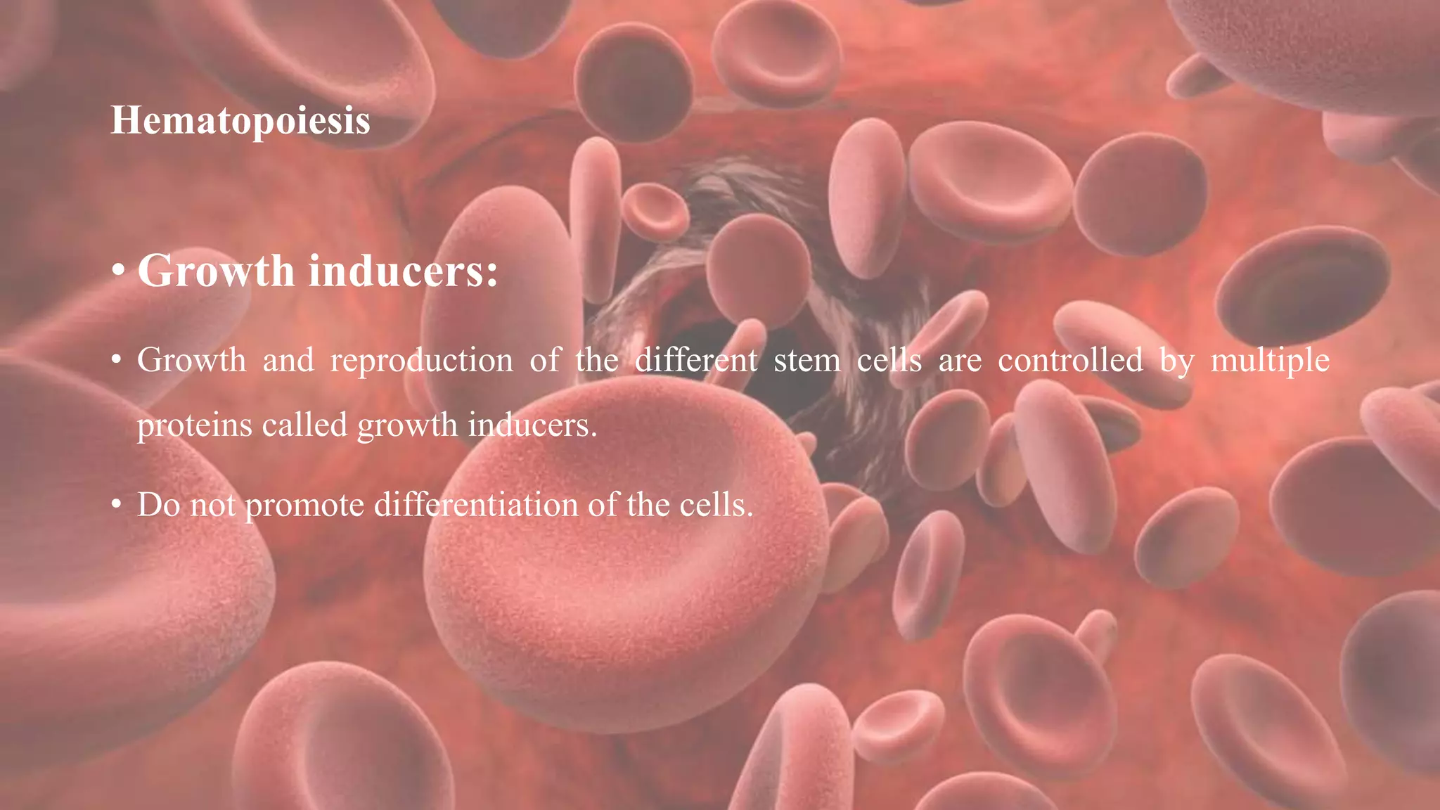 Hematopoiesis
• Growth inducers:
• Growth and reproduction of the different stem cells are controlled by multiple
proteins called growth inducers.
• Do not promote differentiation of the cells.
 