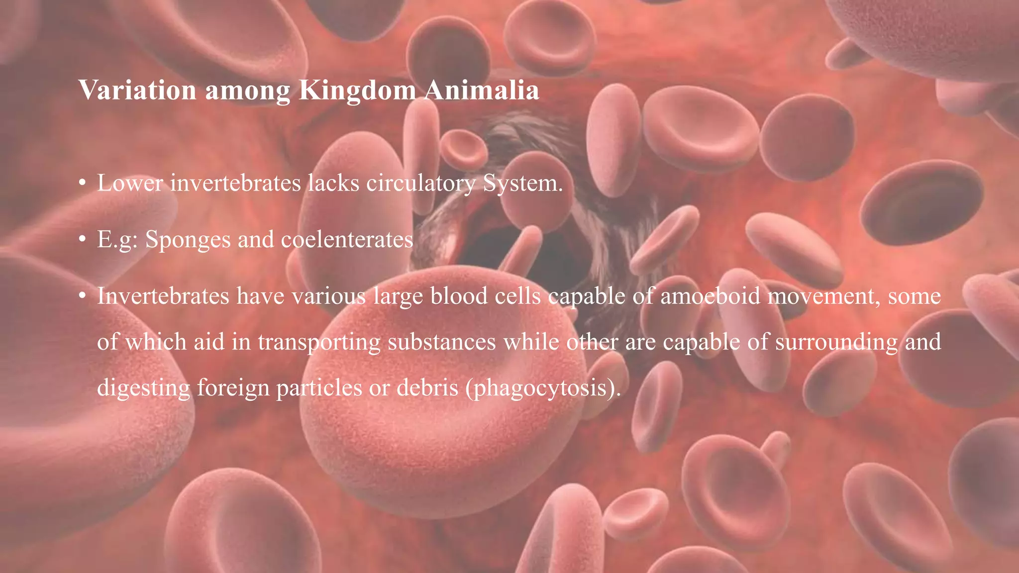 Variation among Kingdom Animalia
• Lower invertebrates lacks circulatory System.
• E.g: Sponges and coelenterates
• Invertebrates have various large blood cells capable of amoeboid movement, some
of which aid in transporting substances while other are capable of surrounding and
digesting foreign particles or debris (phagocytosis).
 