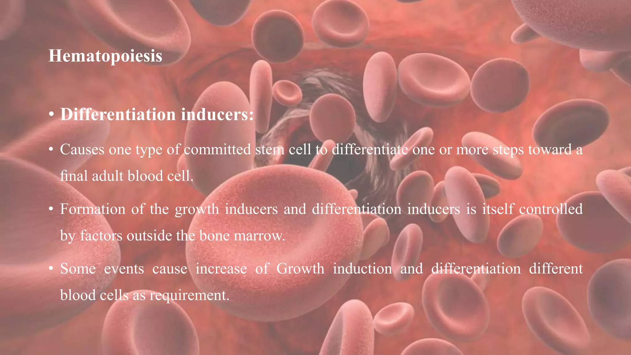 Hematopoiesis
• Differentiation inducers:
• Causes one type of committed stem cell to differentiate one or more steps toward a
ﬁnal adult blood cell.
• Formation of the growth inducers and differentiation inducers is itself controlled
by factors outside the bone marrow.
• Some events cause increase of Growth induction and differentiation different
blood cells as requirement.
 