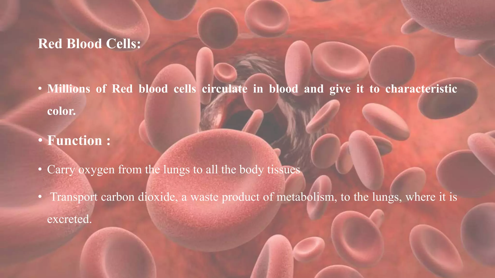 Red Blood Cells:
• Millions of Red blood cells circulate in blood and give it to characteristic
color.
• Function :
• Carry oxygen from the lungs to all the body tissues
• Transport carbon dioxide, a waste product of metabolism, to the lungs, where it is
excreted.
 