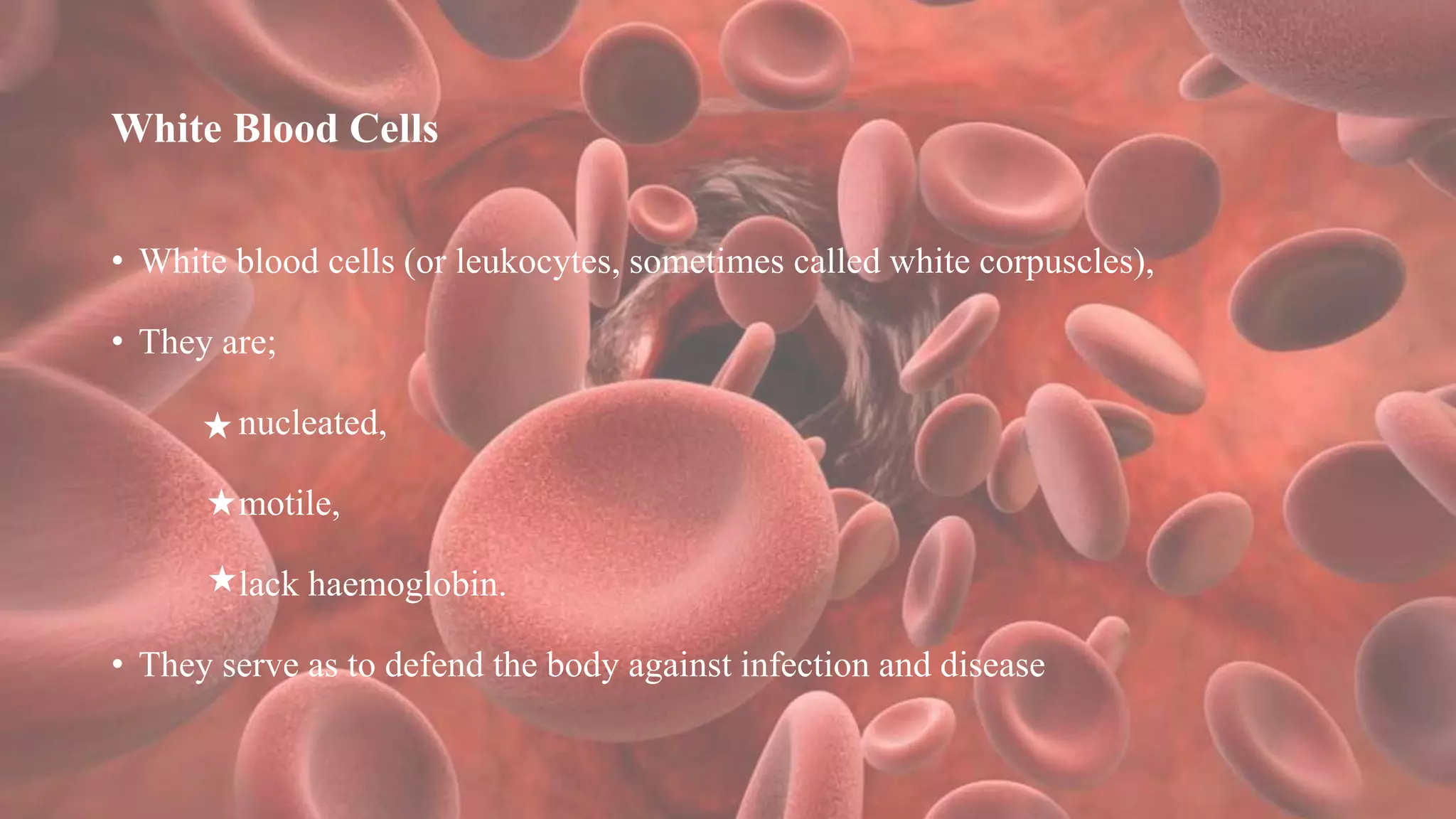 White Blood Cells
• White blood cells (or leukocytes, sometimes called white corpuscles),
• They are;
nucleated,
motile,
lack haemoglobin.
• They serve as to defend the body against infection and disease
 