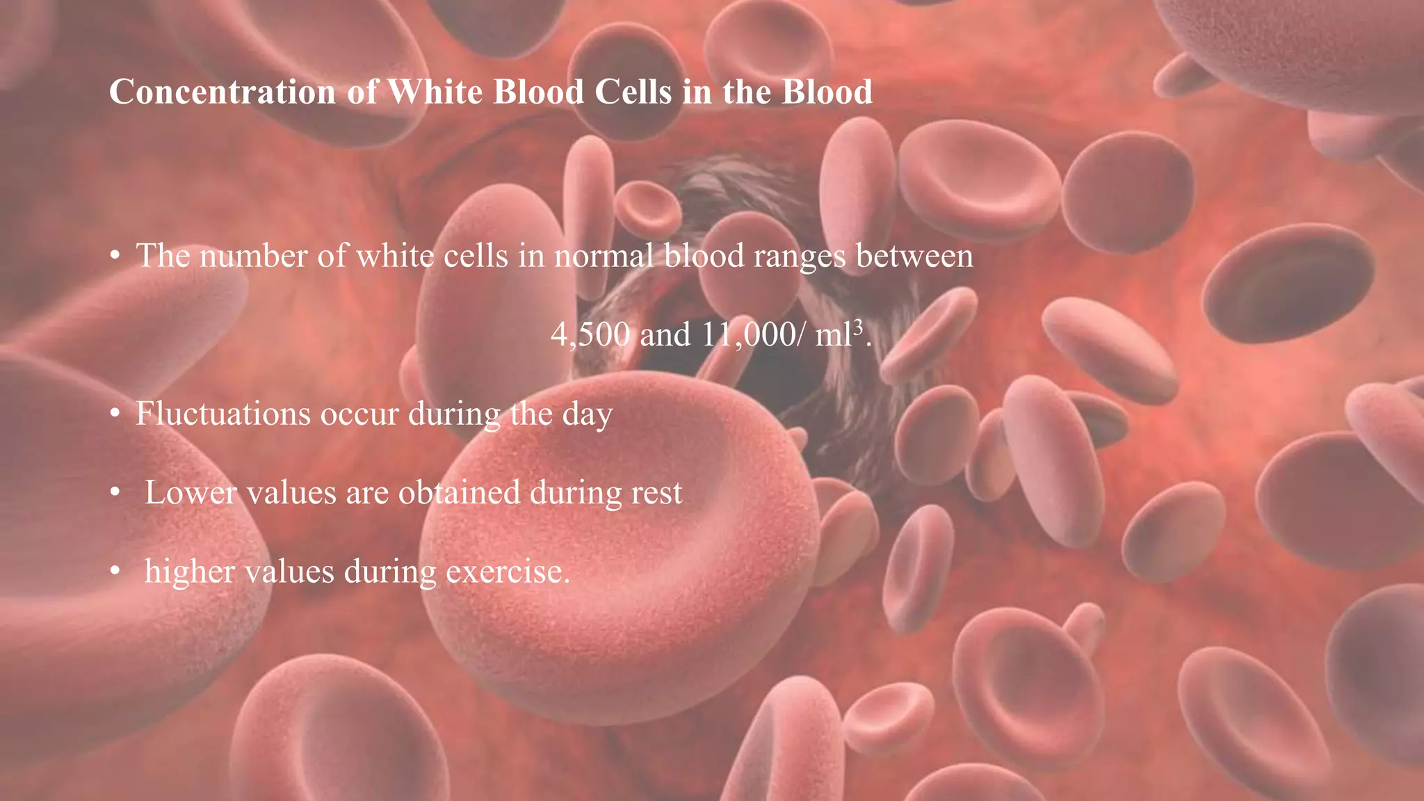 Concentration of White Blood Cells in the Blood
• The number of white cells in normal blood ranges between
4,500 and 11,000/ ml3.
• Fluctuations occur during the day
• Lower values are obtained during rest
• higher values during exercise.
 