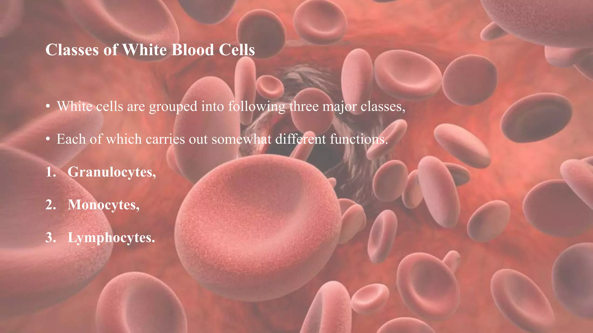 Classes of White Blood Cells
• White cells are grouped into following three major classes,
• Each of which carries out somewhat different functions.
1. Granulocytes,
2. Monocytes,
3. Lymphocytes.
 
