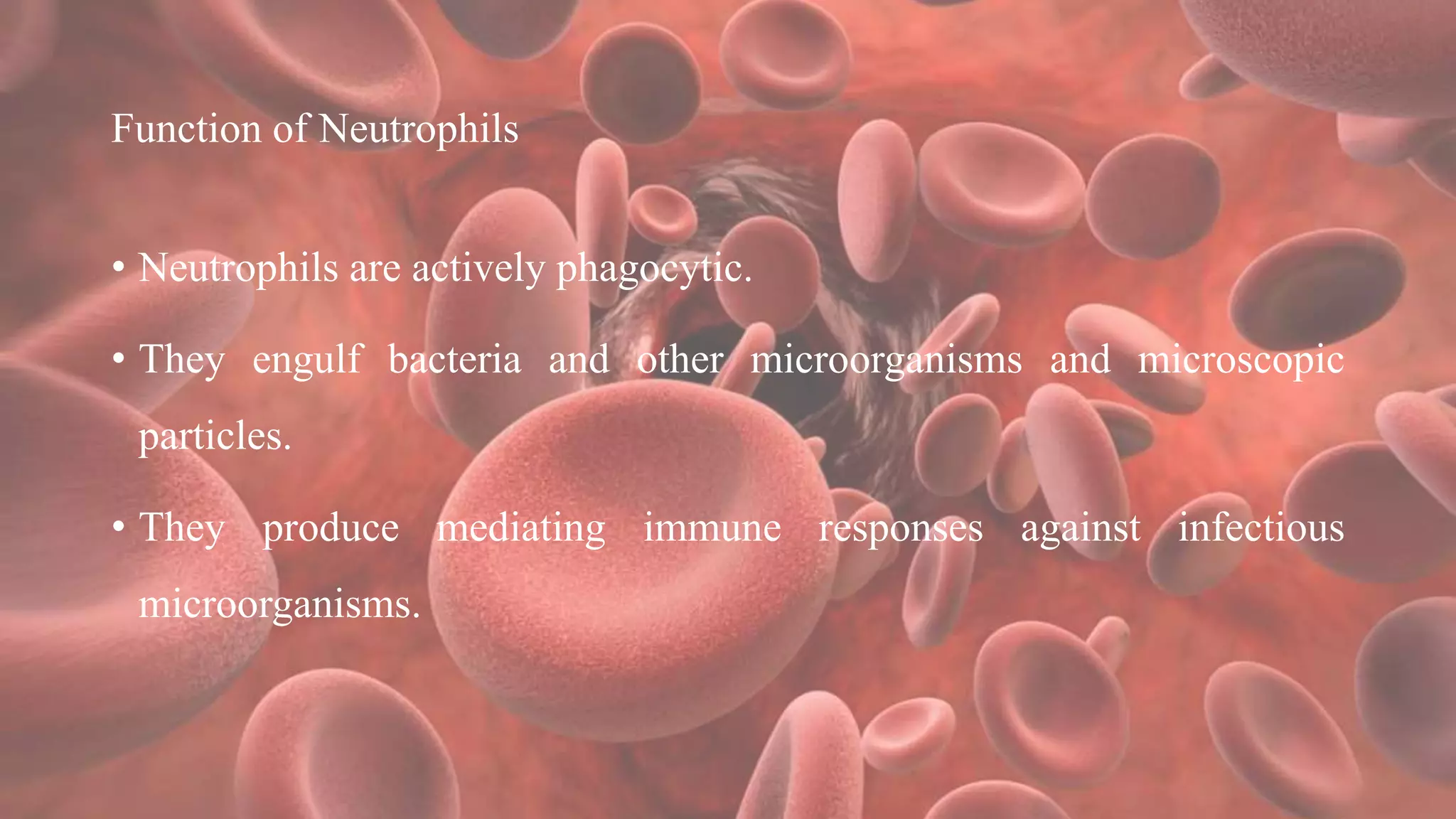 Function of Neutrophils
• Neutrophils are actively phagocytic.
• They engulf bacteria and other microorganisms and microscopic
particles.
• They produce mediating immune responses against infectious
microorganisms.
 
