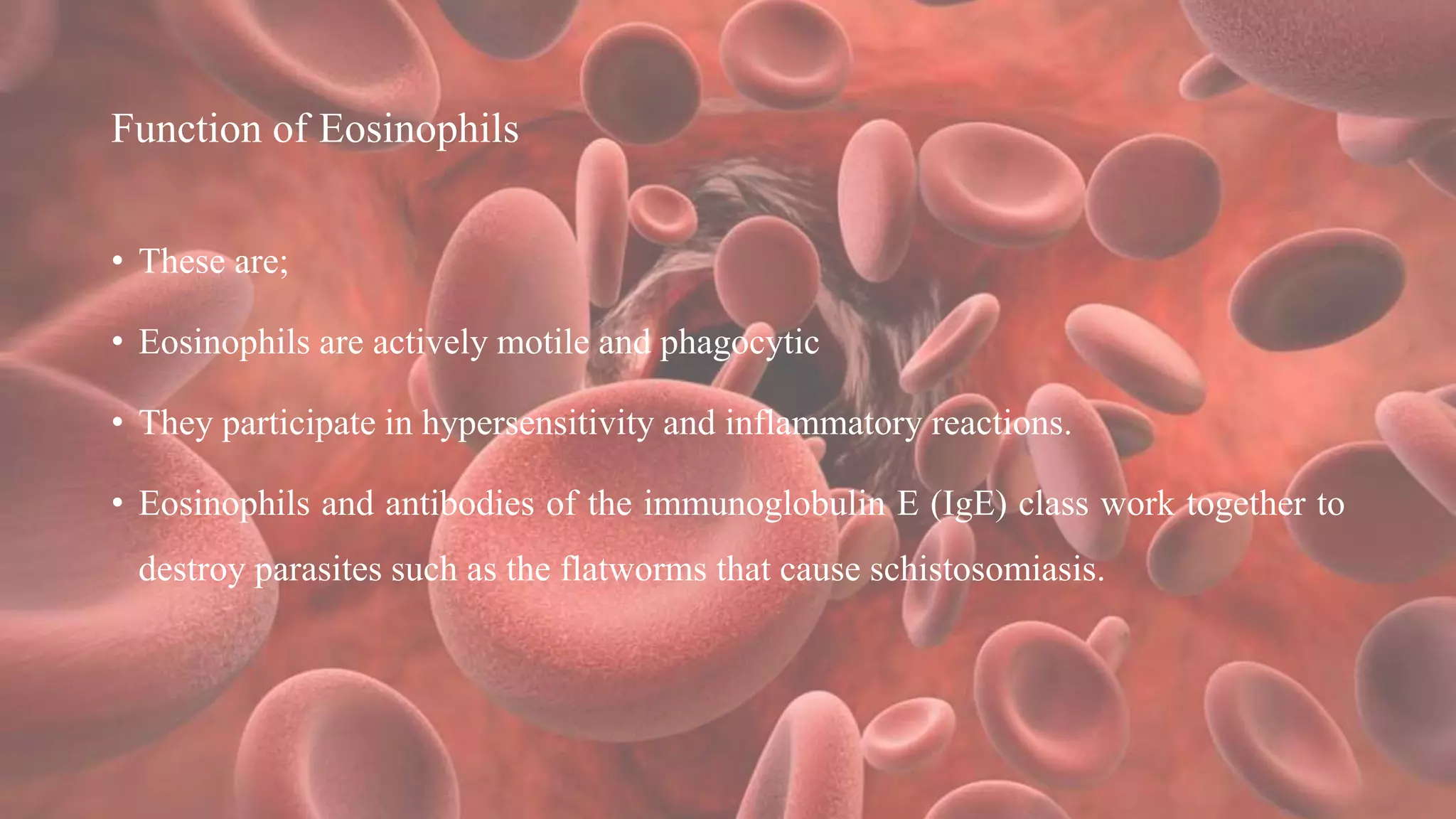 Function of Eosinophils
• These are;
• Eosinophils are actively motile and phagocytic
• They participate in hypersensitivity and inflammatory reactions.
• Eosinophils and antibodies of the immunoglobulin E (IgE) class work together to
destroy parasites such as the flatworms that cause schistosomiasis.
 