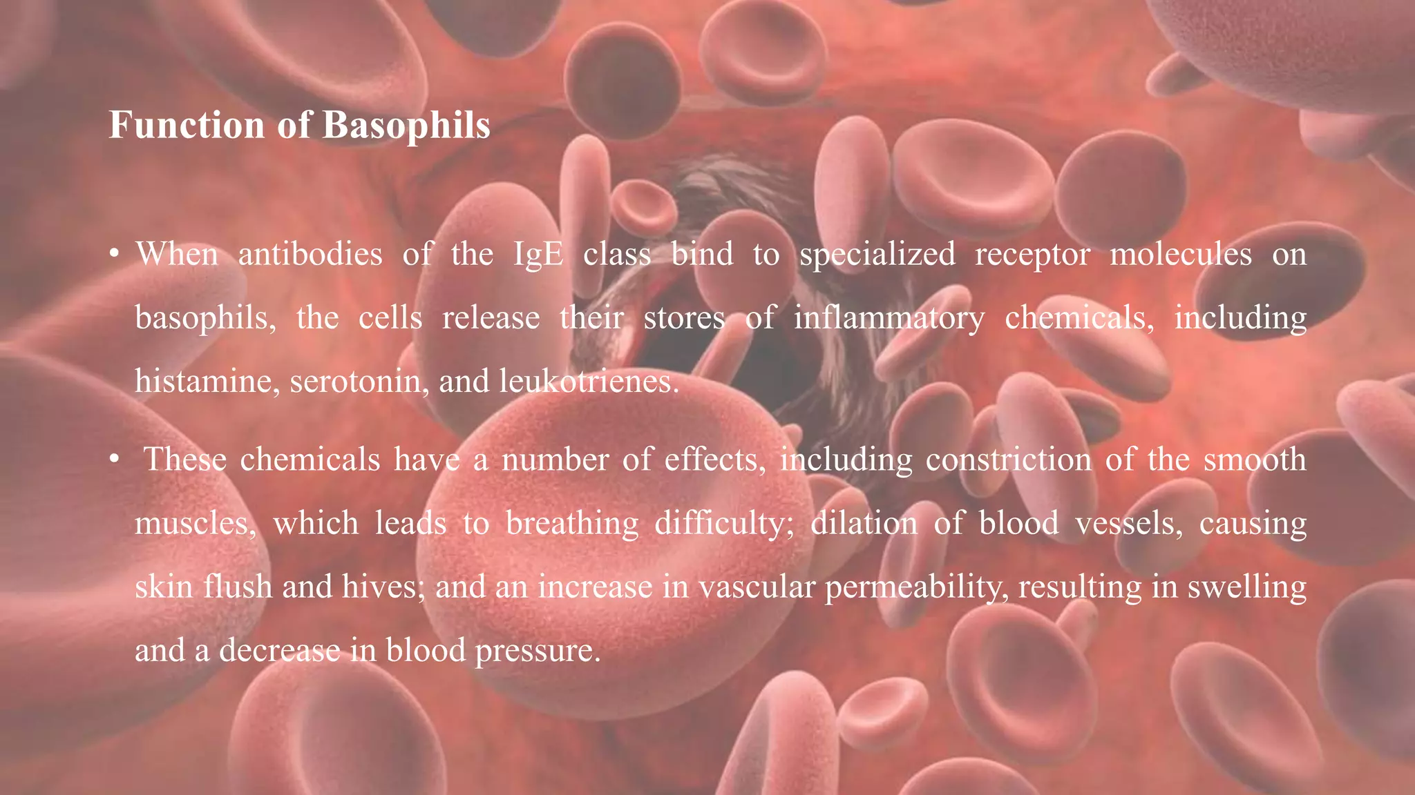 Function of Basophils
• When antibodies of the IgE class bind to specialized receptor molecules on
basophils, the cells release their stores of inflammatory chemicals, including
histamine, serotonin, and leukotrienes.
• These chemicals have a number of effects, including constriction of the smooth
muscles, which leads to breathing difficulty; dilation of blood vessels, causing
skin flush and hives; and an increase in vascular permeability, resulting in swelling
and a decrease in blood pressure.
 