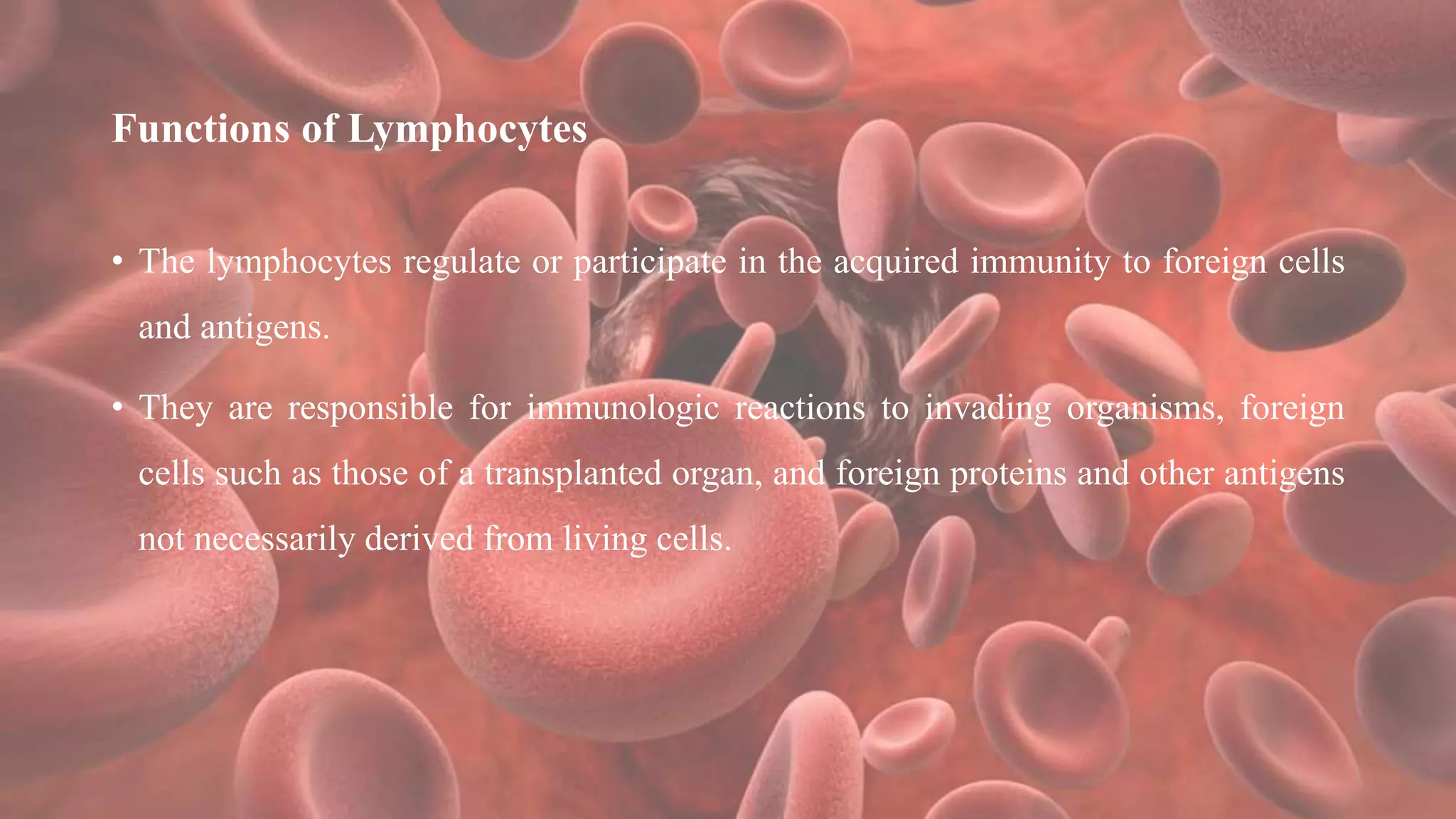 Functions of Lymphocytes
• The lymphocytes regulate or participate in the acquired immunity to foreign cells
and antigens.
• They are responsible for immunologic reactions to invading organisms, foreign
cells such as those of a transplanted organ, and foreign proteins and other antigens
not necessarily derived from living cells.
 
