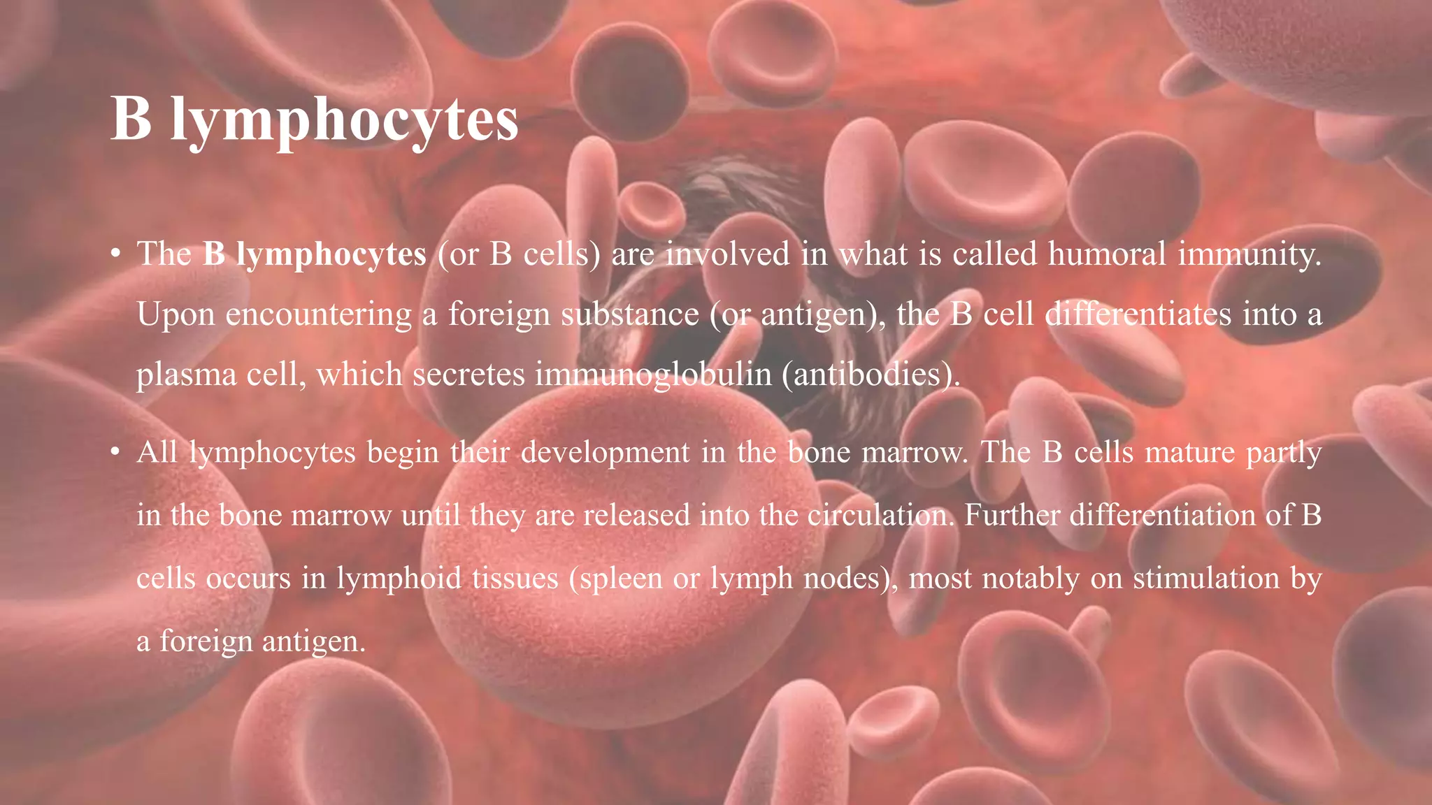 B lymphocytes
• The B lymphocytes (or B cells) are involved in what is called humoral immunity.
Upon encountering a foreign substance (or antigen), the B cell differentiates into a
plasma cell, which secretes immunoglobulin (antibodies).
• All lymphocytes begin their development in the bone marrow. The B cells mature partly
in the bone marrow until they are released into the circulation. Further differentiation of B
cells occurs in lymphoid tissues (spleen or lymph nodes), most notably on stimulation by
a foreign antigen.
 