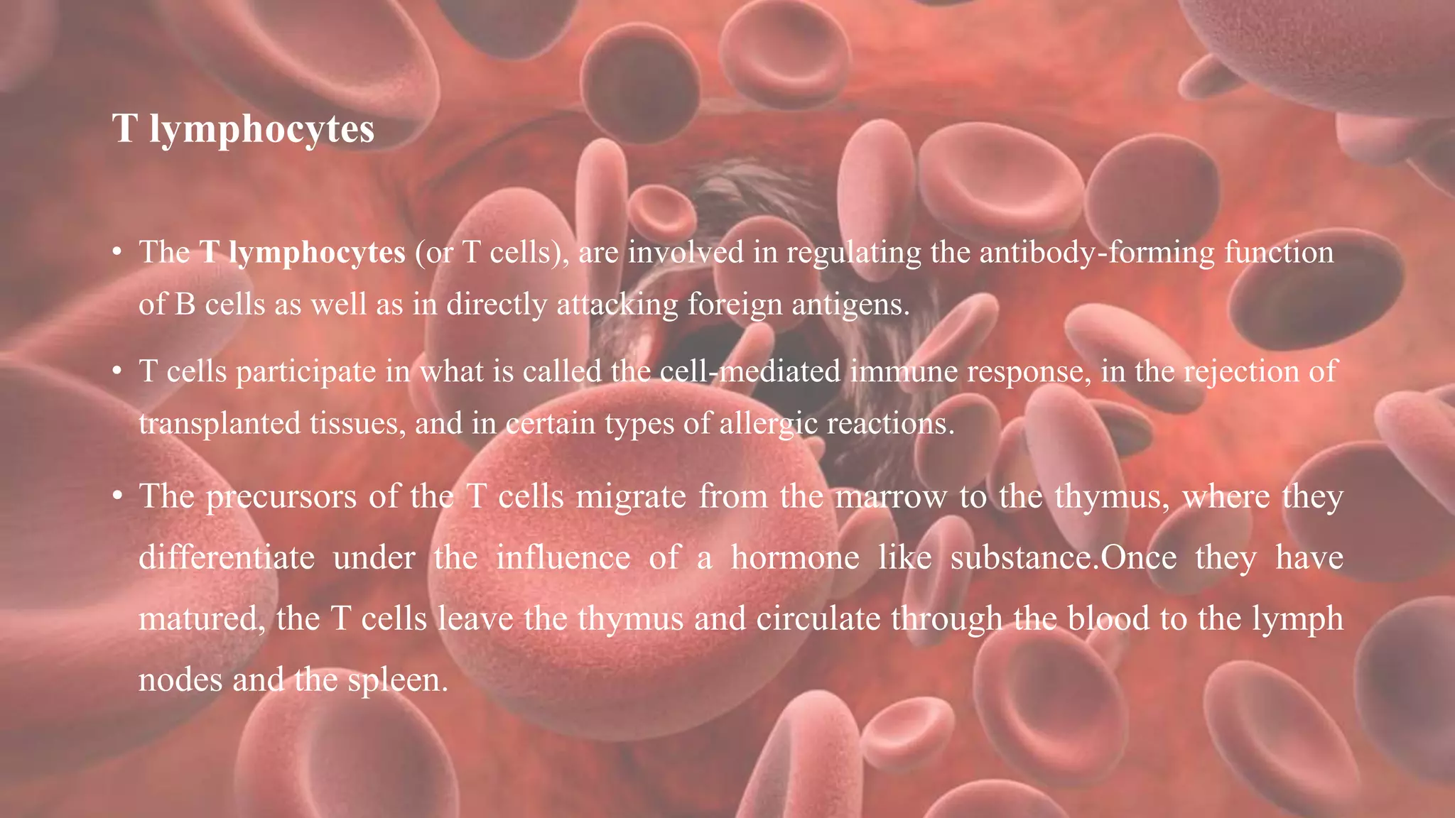 T lymphocytes
• The T lymphocytes (or T cells), are involved in regulating the antibody-forming function
of B cells as well as in directly attacking foreign antigens.
• T cells participate in what is called the cell-mediated immune response, in the rejection of
transplanted tissues, and in certain types of allergic reactions.
• The precursors of the T cells migrate from the marrow to the thymus, where they
differentiate under the influence of a hormone like substance.Once they have
matured, the T cells leave the thymus and circulate through the blood to the lymph
nodes and the spleen.
 
