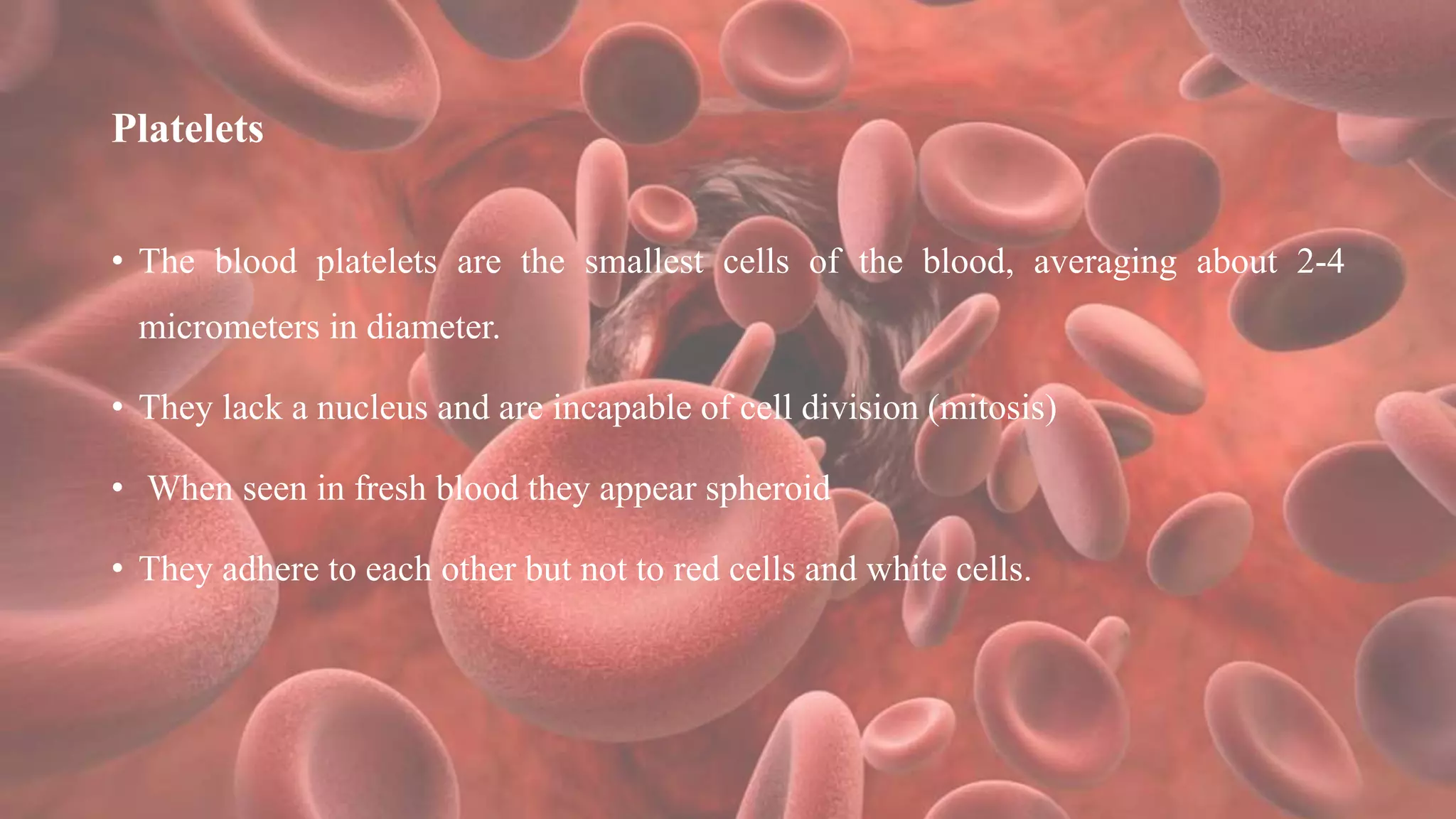 Platelets
• The blood platelets are the smallest cells of the blood, averaging about 2-4
micrometers in diameter.
• They lack a nucleus and are incapable of cell division (mitosis)
• When seen in fresh blood they appear spheroid
• They adhere to each other but not to red cells and white cells.
 