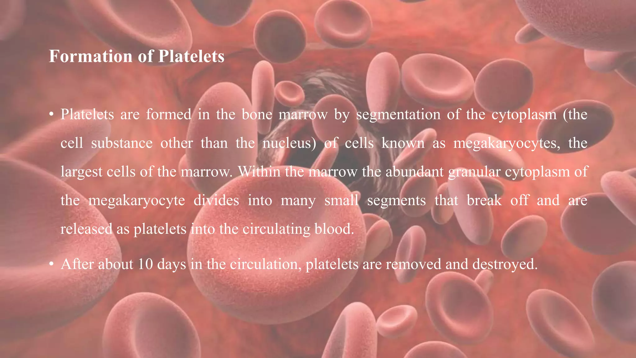 Formation of Platelets
• Platelets are formed in the bone marrow by segmentation of the cytoplasm (the
cell substance other than the nucleus) of cells known as megakaryocytes, the
largest cells of the marrow. Within the marrow the abundant granular cytoplasm of
the megakaryocyte divides into many small segments that break off and are
released as platelets into the circulating blood.
• After about 10 days in the circulation, platelets are removed and destroyed.
 