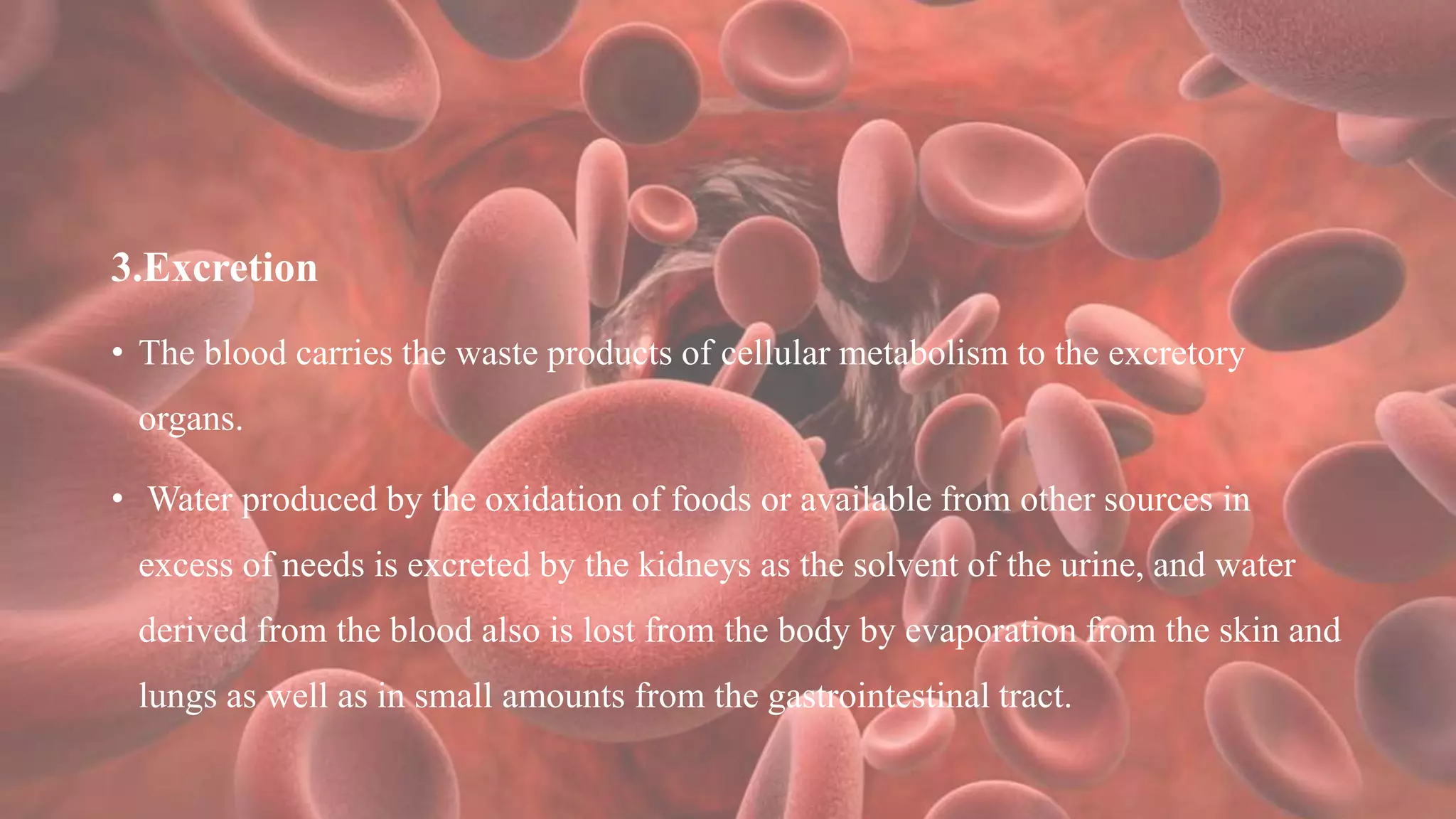 3.Excretion
• The blood carries the waste products of cellular metabolism to the excretory
organs.
• Water produced by the oxidation of foods or available from other sources in
excess of needs is excreted by the kidneys as the solvent of the urine, and water
derived from the blood also is lost from the body by evaporation from the skin and
lungs as well as in small amounts from the gastrointestinal tract.
 