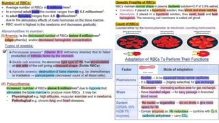blood haemoglobin carbon monoxide poisoning and what not | PDF