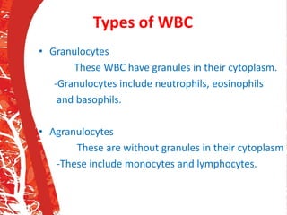 Types of WBC
• Granulocytes
These WBC have granules in their cytoplasm.
-Granulocytes include neutrophils, eosinophils
and basophils.
• Agranulocytes
These are without granules in their cytoplasm
-These include monocytes and lymphocytes.
 