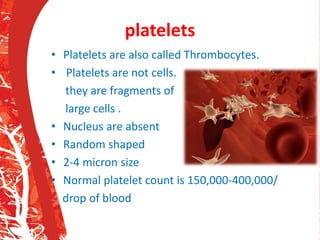 platelets
• Platelets are also called Thrombocytes.
• Platelets are not cells.
they are fragments of
large cells .
• Nucleus are absent
• Random shaped
• 2-4 micron size
• Normal platelet count is 150,000-400,000/
drop of blood
 