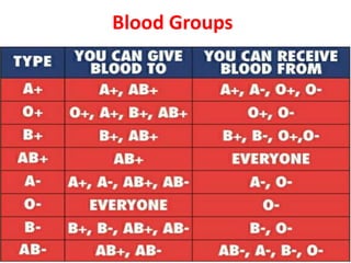 Blood Groups
 