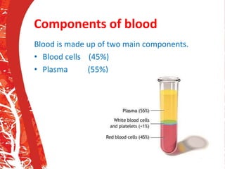 Components of blood
Blood is made up of two main components.
• Blood cells (45%)
• Plasma (55%)
 
