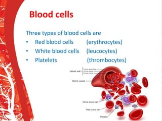 Blood cells
Three types of blood cells are
• Red blood cells (erythrocytes)
• White blood cells (leucocytes)
• Platelets (thrombocytes)
 