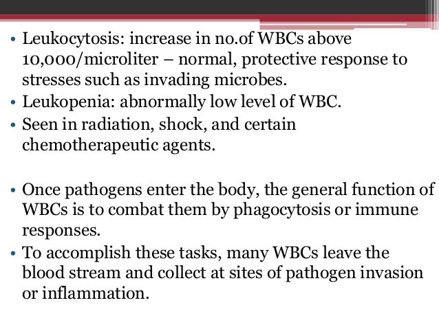 Blood – anatomy and physio