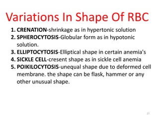 Blood and blood cells | PPTX