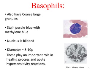 Blood and blood cells | PPTX