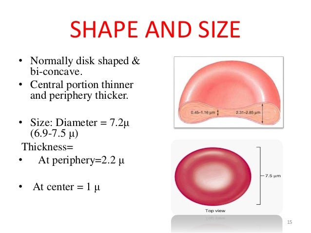 Blood And Blood Cells - 638x479 - jpeg Abnormal Red Blood Cell Size